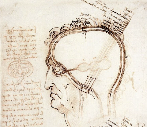 Da Vinci drawing of the eye